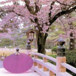 Some Beautiful Places